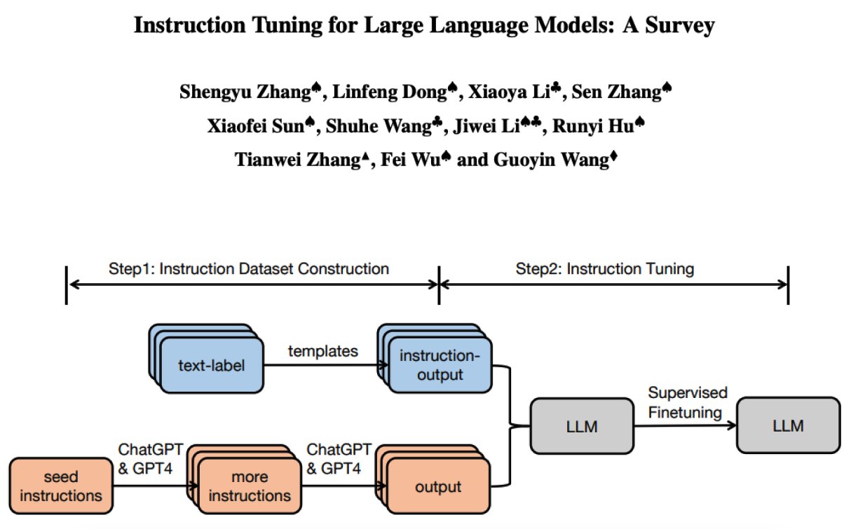 Dataset for Fine-tuning the AI model